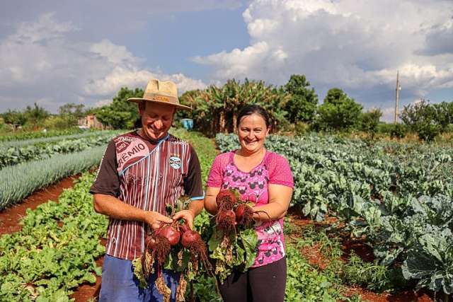 No Paraná, Jornada de Agroecologia reivindica fundo para transição produtiva no campo e cidade