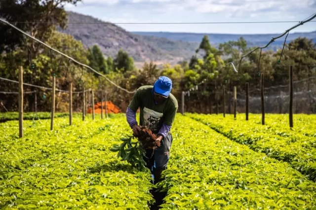 Nova política industrial prevê R$ 20 bi para mecanização da agricultura familiar