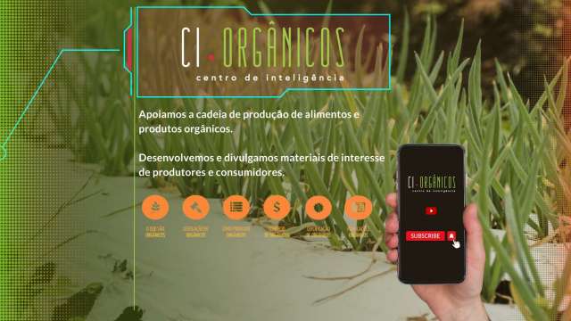 IDEC mapeia feiras pelo Brasil para fortalecer a agricultura orgânica