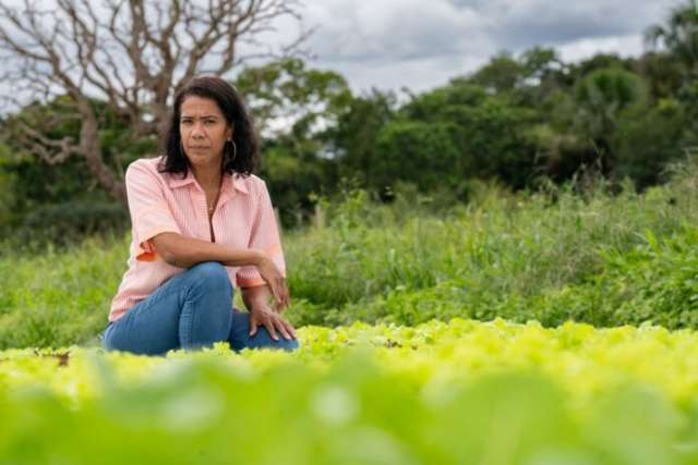 Dia da Mulher: MDA divulga programas de estímulo e valorização das agricultoras familiares