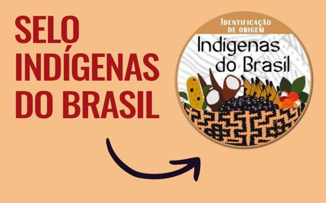 Governo recria Selo Indígenas do Brasil para identificar e valorizar a produção dos povos originários