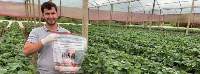 Agricultores familiares de Minas têm gratuidade na certificação de produtos