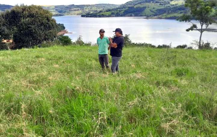 Programa Pró-Leite e Produção Orgânica de Reserva do Iguaçu atende às expectativas do contrato