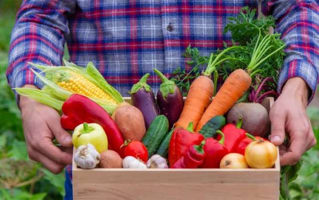 Agricultura familiar produziu 164 mil toneladas de alimentos para programa governamental em 2023