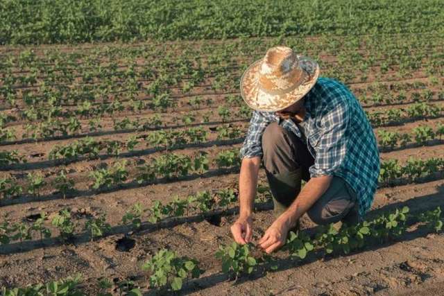 Setor agrícola acredita que a indústria é capaz de criar um sistema alimentar sustentável