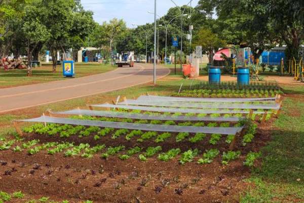 Senadores aprovam uso de terreno da União para horta comunitária