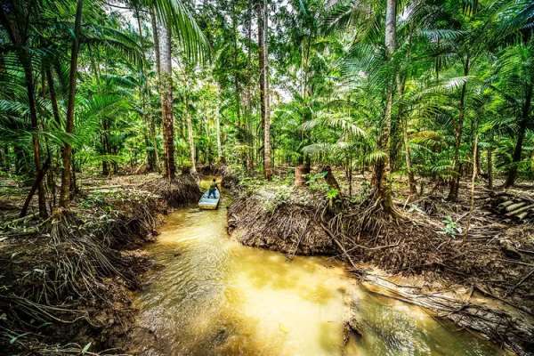 Brasil tem potencial para receber US$ 3 trilhões em investimentos verdes, diz estudo do BCG