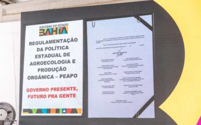 Governo da Bahia implementa Lei de Agroecologia e Produção Orgânica