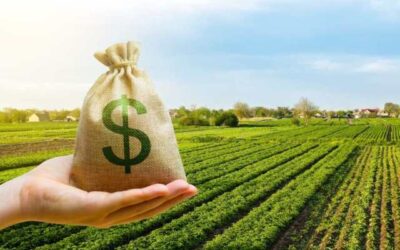 Banco do Brasil capta R$ 4,37 bilhões para financiar agricultura sustentável