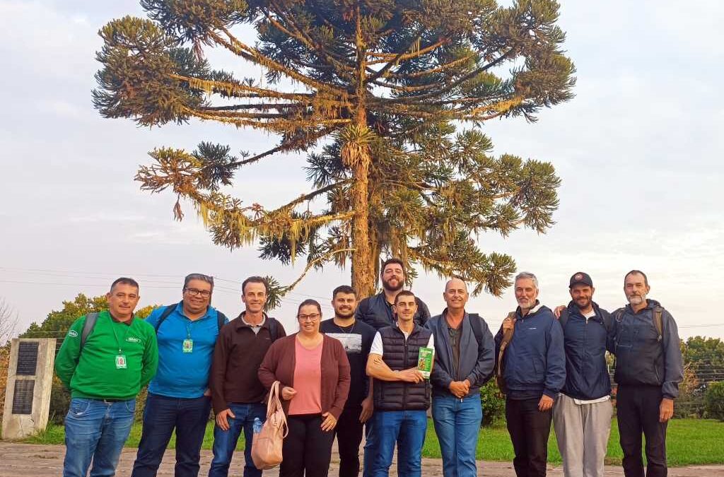 Oficina metodológica em Rio do Sul capacita técnicos para assessorar a produção de alimentos saudáveis