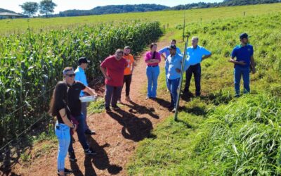 Oficina Metodológica do Paraná ocorreu em Laranjeiras do Sul