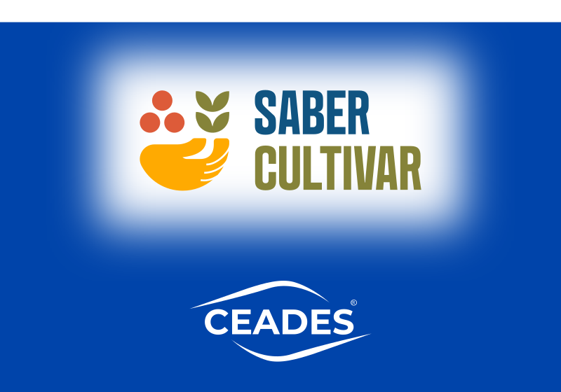 csdefeso