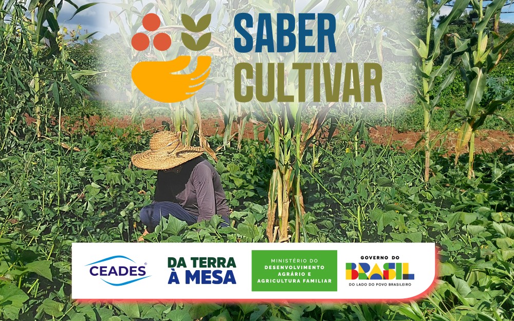 Em convênio com o MDA, Ceades lança Projeto Saber Cultivar para fortalecer a agroecologia na agricultura familiar